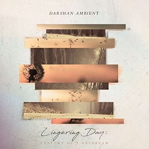 Lingering Day: Anatomy of a Daydream - Darshan Ambient - Music - SPOTTED PECCARY - 0600028240527 - November 24, 2017