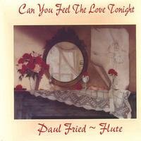 Can You Feel the Love Tonight - Paul Fried - Muziek - CDB - 0604527149527 - 15 februari 2005