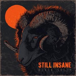 Black Sheep - Still Insane - Music - THOUSAND ISLANDS - 0619061009527 - February 18, 2022