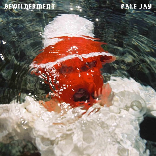 Cover for Pale Jay · Bewilderment (LP) (2023)