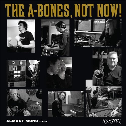 Cover for A-bones · Not Now! (CD) (2018)