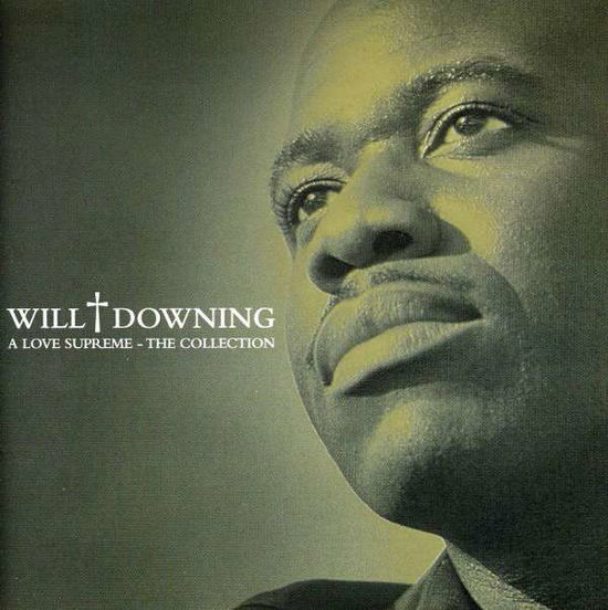 Collection - Will Downing - Musik - SPECTRUM - 0731458697527 - 22. april 2003