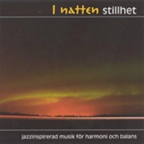 I Natten Stillhet - - I Natten Stillhet - Musik - White Cloud - 0747313009527 - 26. oktober 2009
