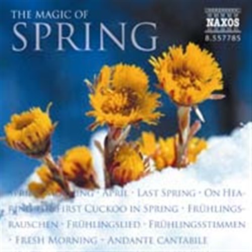 Cover for Rlpo · THE MAGIC OF SPRING *d* (CD) (2010)