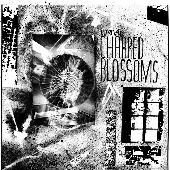 Cover for Cyrnai · Charred Blossoms (LP) (2018)