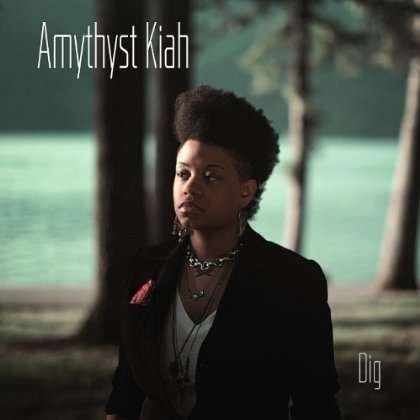 Cover for Amythyst Kiah · Dig (CD) (2013)