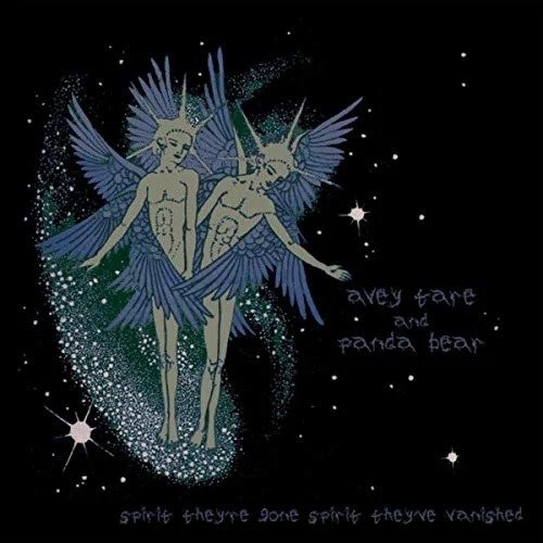 Spirit Theyre Gone. Spirit Theyve Vanished - Animal Collective - Musikk - DOMINO RECORDS - 0887830017527 - 12. mai 2023
