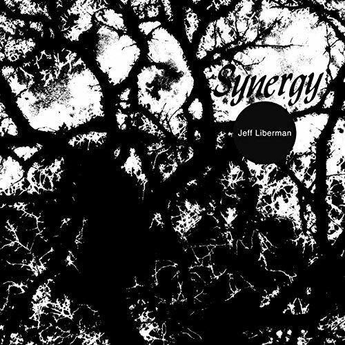 Jeff Liberman · Synergy (LP) (2016)