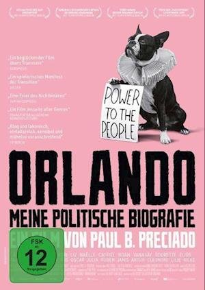 Cover for Orlando, Meine Politische Biografie,dvd (DVD)