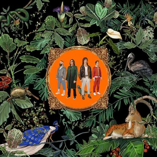 Cover for Don Broco · Amazing Things (Orange In Slipcase) (CD) (2022)