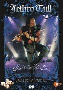 Cover for Jethro Tull · Jack in the Green (MDVD) (2008)