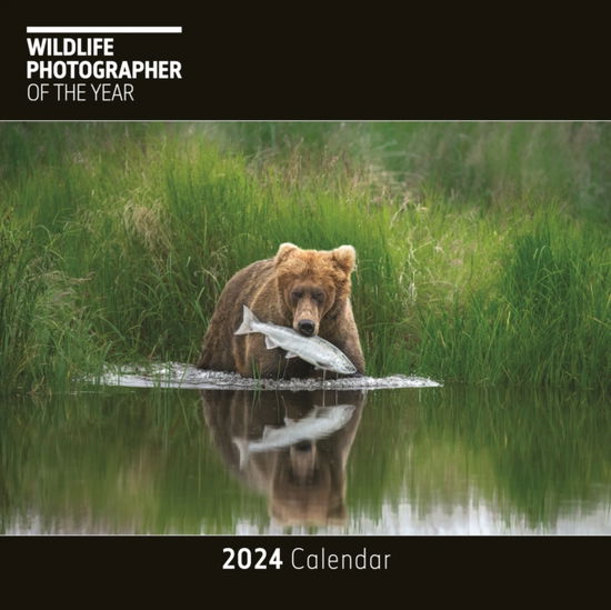 Wildlife Photographer of the Year Square Wall Calendar 2024 (Calendar