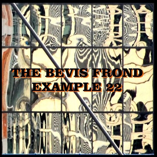 Example 22 - The Bevis Frond - Musikk - WORONZOW - 5052571061527 - 22. september 2017