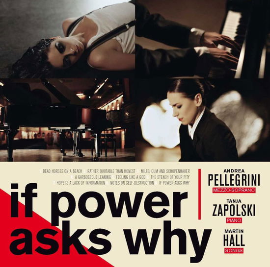 Martin Hall, Andrea Pellegrini & Tanja Zapolski · If Power Asks Why (LP) (2012)