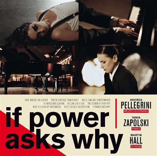 Cover for Martin Hall, Andrea Pellegrini &amp; Tanja Zapolski · If Power Asks Why (CD) (2012)
