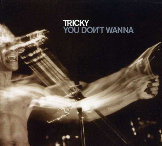 You Don't Wanna - Tricky - Música -  - 8714092106527 - 