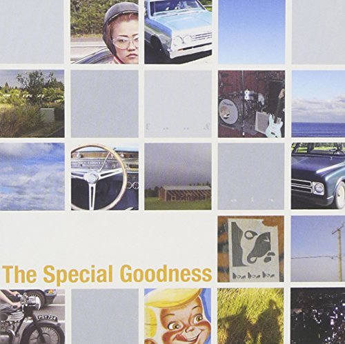 Land Air Sea - Special Goodness - Musik - Epitaph - 8714092669527 - 4. juni 2009