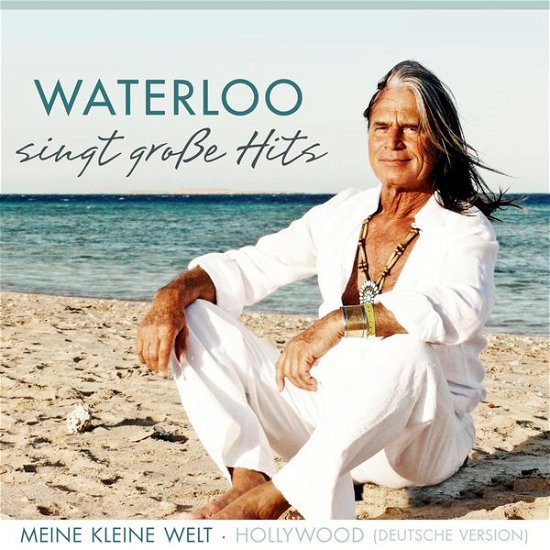 Cover for Waterloo · Singt Grosse Hits (CD) (2015)