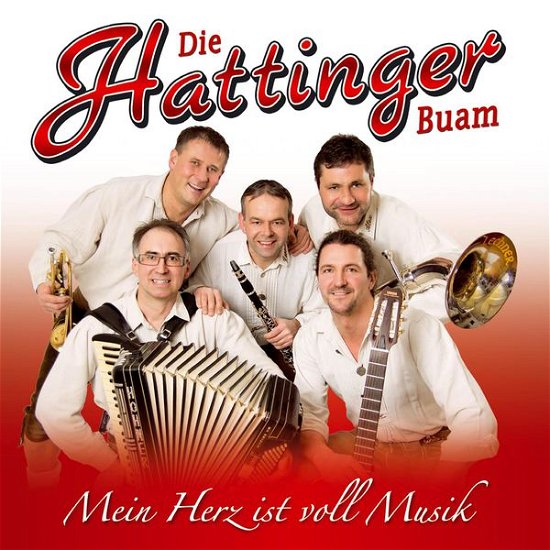 Mein Herz Ist Voll Musik - Hattinger Buam Die - Music - TYROLIS - 9003549530527 - March 24, 2015