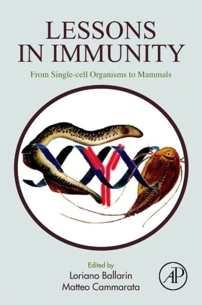 Cover for Loriano Ballarin · Lessons in Immunity: From Single-cell Organisms to Mammals (Paperback Book) (2016)