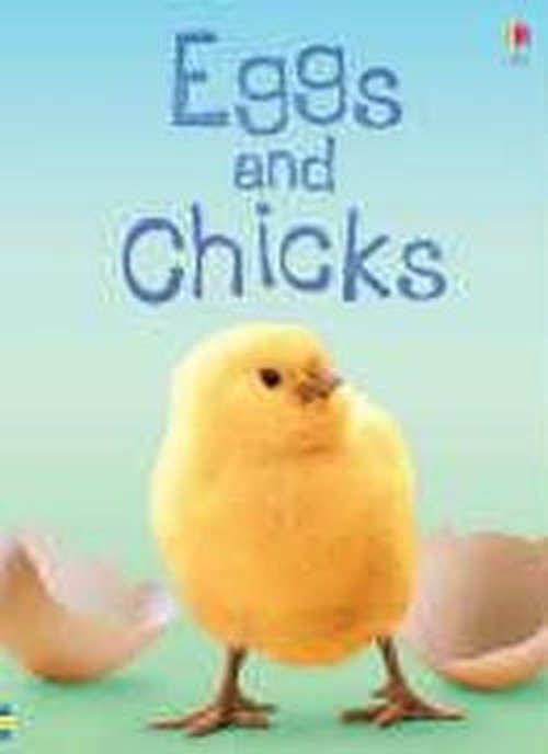 Eggs and Chicks - Beginners - Fiona Patchett - Books - Usborne Publishing Ltd - 9780746074527 - June 30, 2006