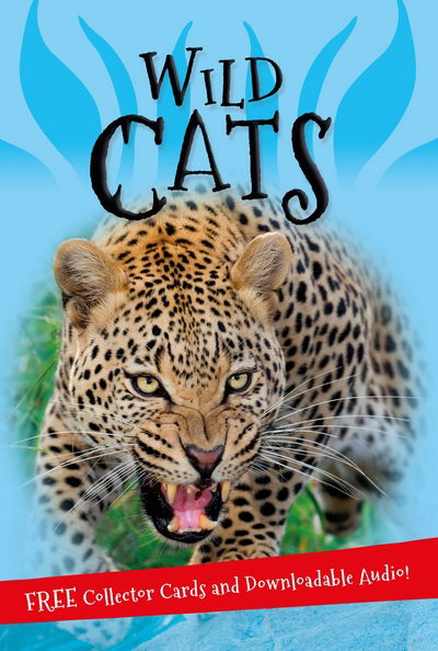 Cover for Kingfisher · It's all about... Wild Cats (N/A) [Main Market Ed. - UK edition] (2017)