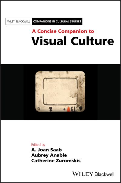 Cover for Aubrey Anable · A Concise Companion to Visual Culture - Blackwell Companions in Cultural Studies (Paperback Book) (2027)