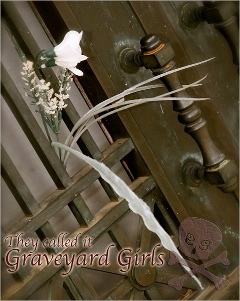 Cover for D Shane Trotter · They Called It Graveyard Girls (Paperback Book) (2011)