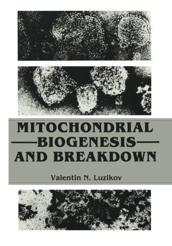 Valentin Luzikov · Mitochondrial Biogenesis and Breakdown (Paperback Book) [Softcover reprint of the original 1st ed. 1985 edition] (2012)