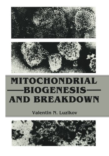 Valentin Luzikov · Mitochondrial Biogenesis and Breakdown (Paperback Book) [Softcover reprint of the original 1st ed. 1985 edition] (2012)