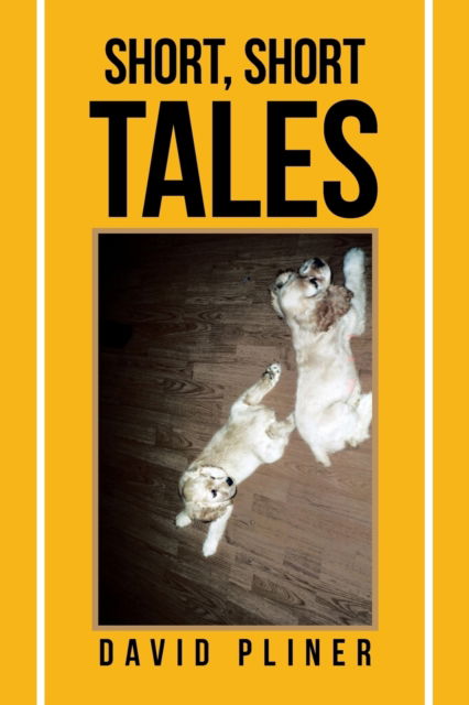 Cover for David Pliner · Short, Short Tales (Paperback Book) (2016)