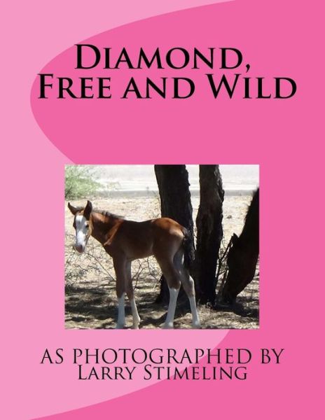 Cover for Larry Stimeling · Diamond, Free and Wild (Paperback Book) (2016)