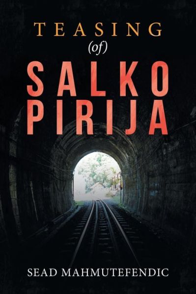 Cover for Sead Mahmutefendic · Teasing (Of) Salko Pirija (Paperback Book) (2018)