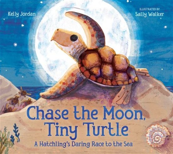 Cover for Kelly Jordan · Chase the Moon, Tiny Turtle: A Hatchling's Daring Race to the Sea (Hardcover Book) (2021)