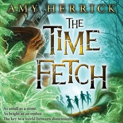 The Time Fetch - Amy Herrick - Muzyka - HighBridge Audio - 9781665158527 - 27 sierpnia 2013