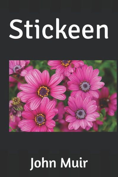 Cover for John Muir · Stickeen (Paperback Book) (2019)