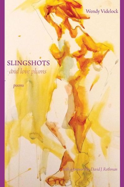 Cover for Wendy Videlock · Slingshots and Love Plums - Poems (Paperback Book) (2015)