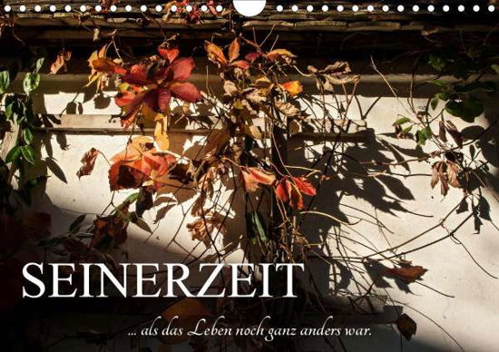 Seinerzeit (Wandkalender 2020 DI - Bartek - Books -  - 9783670709527 - 