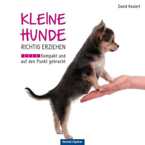 Kleine Hunde richtig erziehen - Keulert - Libros -  - 9783886278527 - 