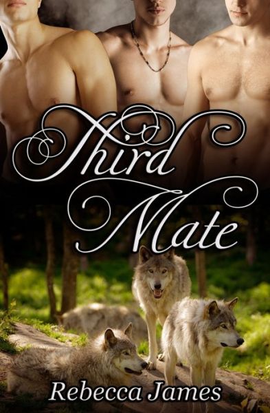 Third Mate: An MM Paranormal Shifter Mpreg Romance - Rebecca James - Bøker - Independently Published - 9798686999527 - 13. september 2021