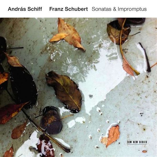 Schubert: Sonatas & Impromptus - Andras Schiff - Musiikki - CLASSICAL - 0028948172528 - tiistai 23. huhtikuuta 2019