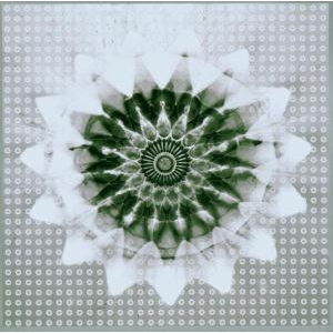 Voiceprint - Jon Hassell Vs 808 State - Música - RYKODISC - 0031257151528 - 30 de junho de 1990