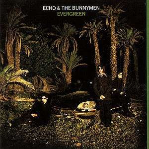 Cover for Dusty Springfield · Echo &amp; The Bunnymen / Evergreen (CD)