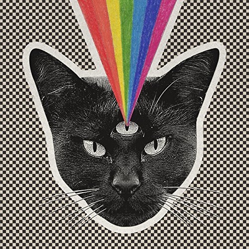 Black Cat - Never Shout Never - Muziek - Warner - 0093624926528 - 11 januari 2018