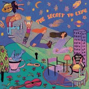 Cover for Fizz · Secret to Life (LP) (2023)