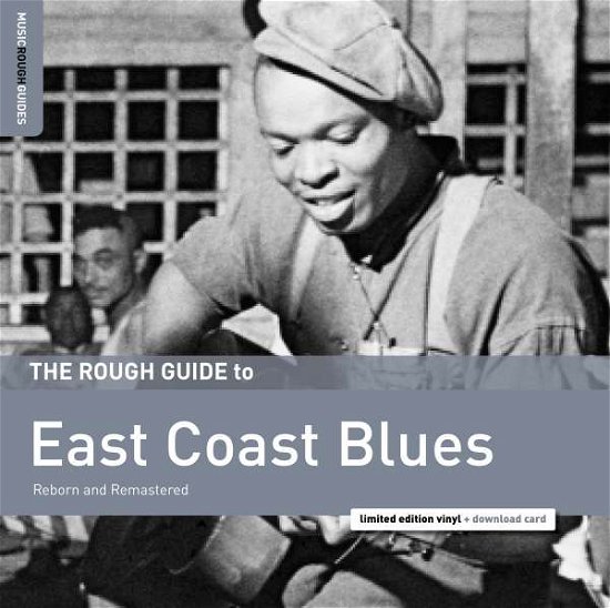 Cover for Aa.vv. · Rough Guide To East Coast Blues (LP) (2016)