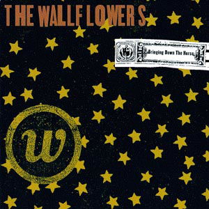 Bringing Down the Horse - Wallflowers - Musikk - ROCK - 0606949005528 - 21. mai 1996
