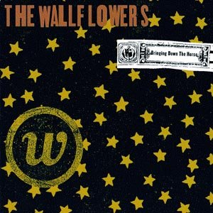Cover for Wallflowers · Bringing Down the Horse (CD) (1996)