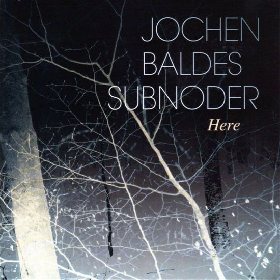 Here - Jochen Baldes - Music - DOUBLE MOON - 0608917112528 - October 11, 2013