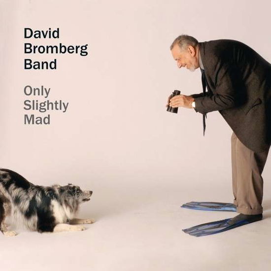 Cover for David Bromberg · Only Slightly Mad (CD) (2013)